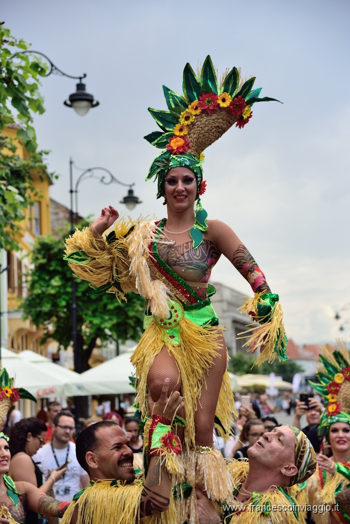 DSC_7979.JPG