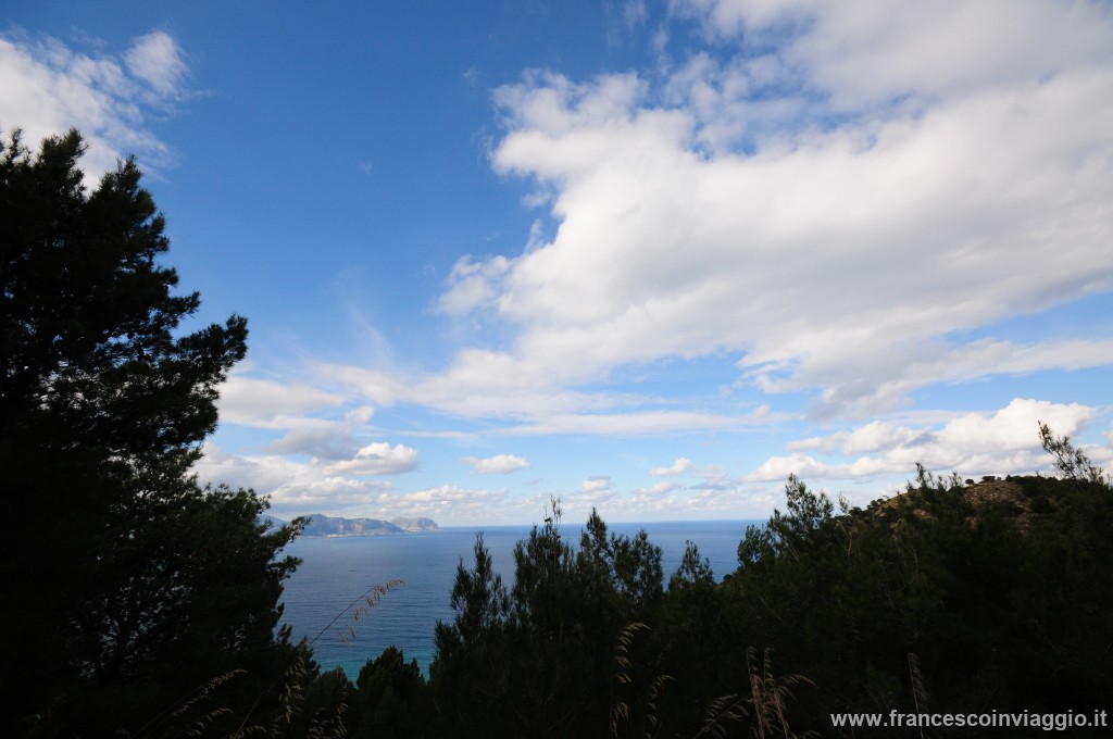 DSC_5069.JPG