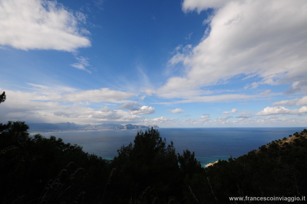 DSC_5070.JPG