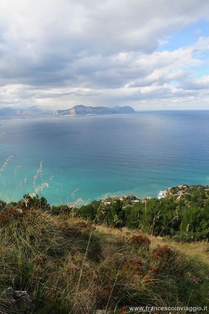 DSC_5090.JPG