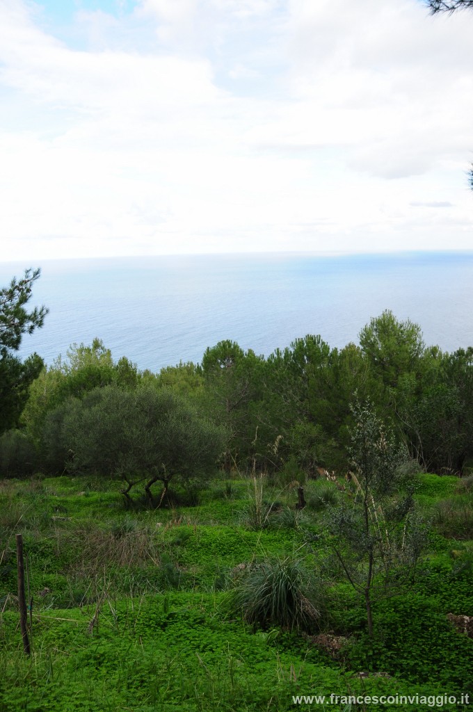 DSC_5096.JPG