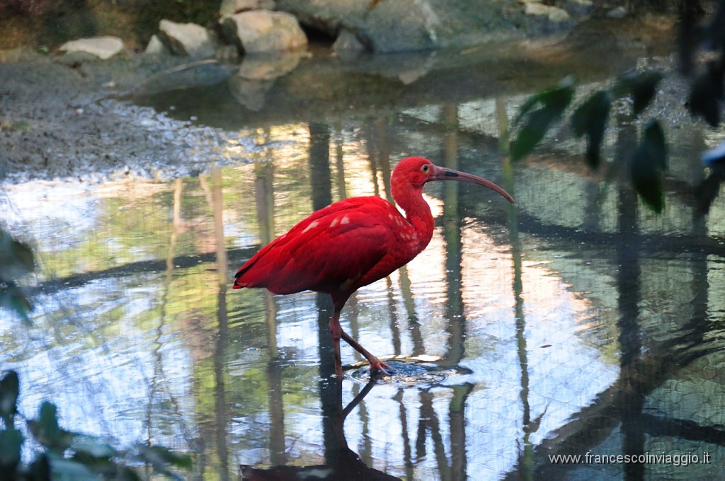 DSC_9136.JPG
