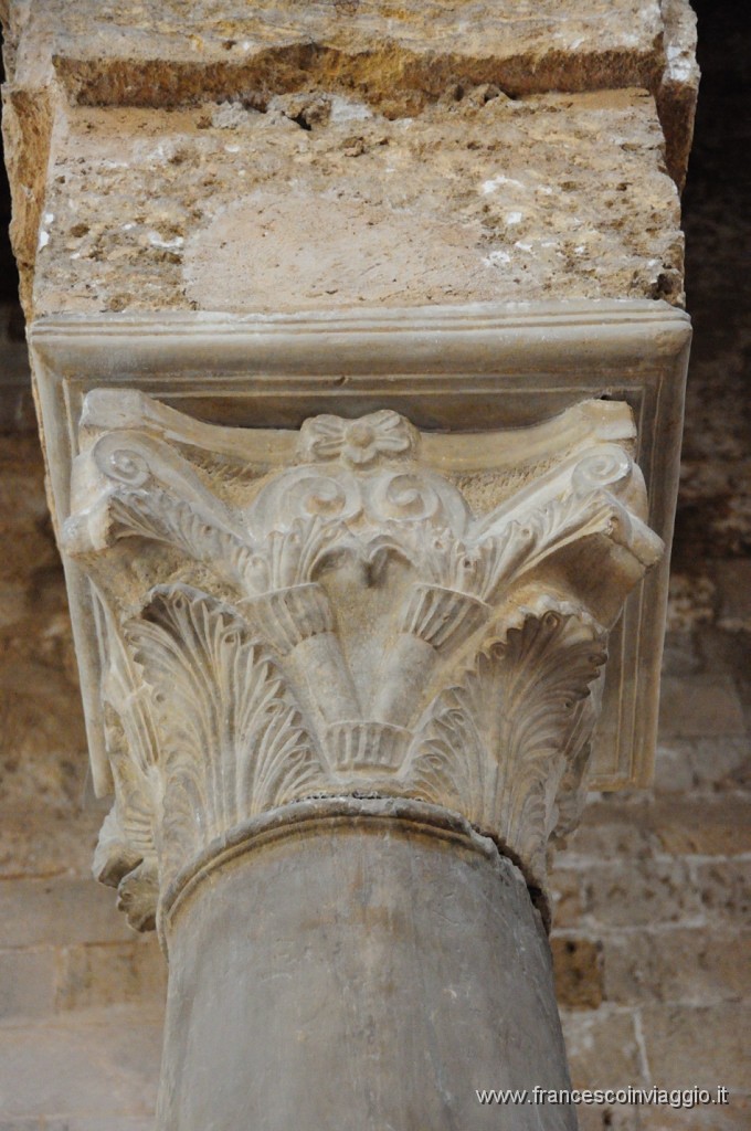 DSC_4498.JPG