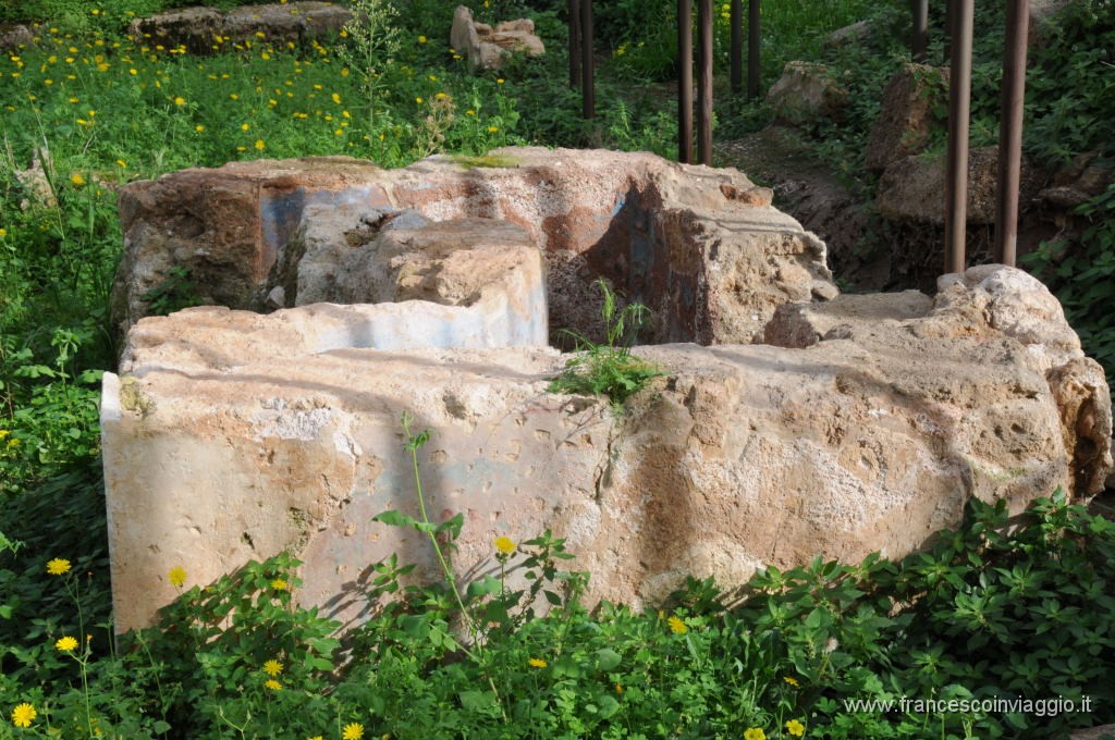 DSC_2370.JPG