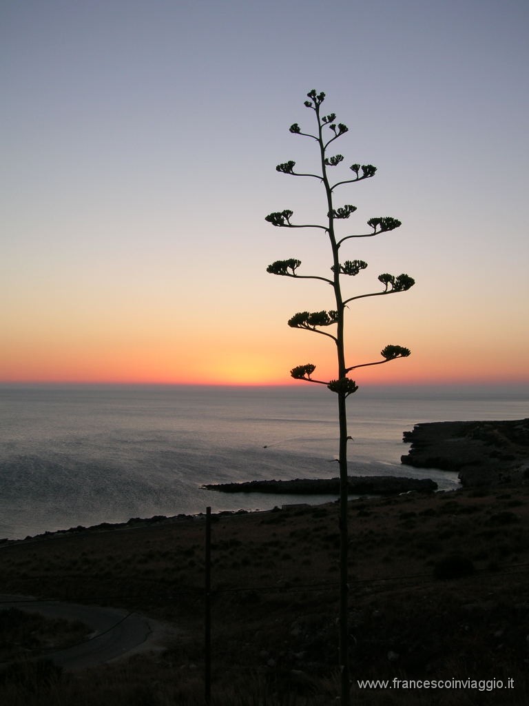 DSCN0588.JPG