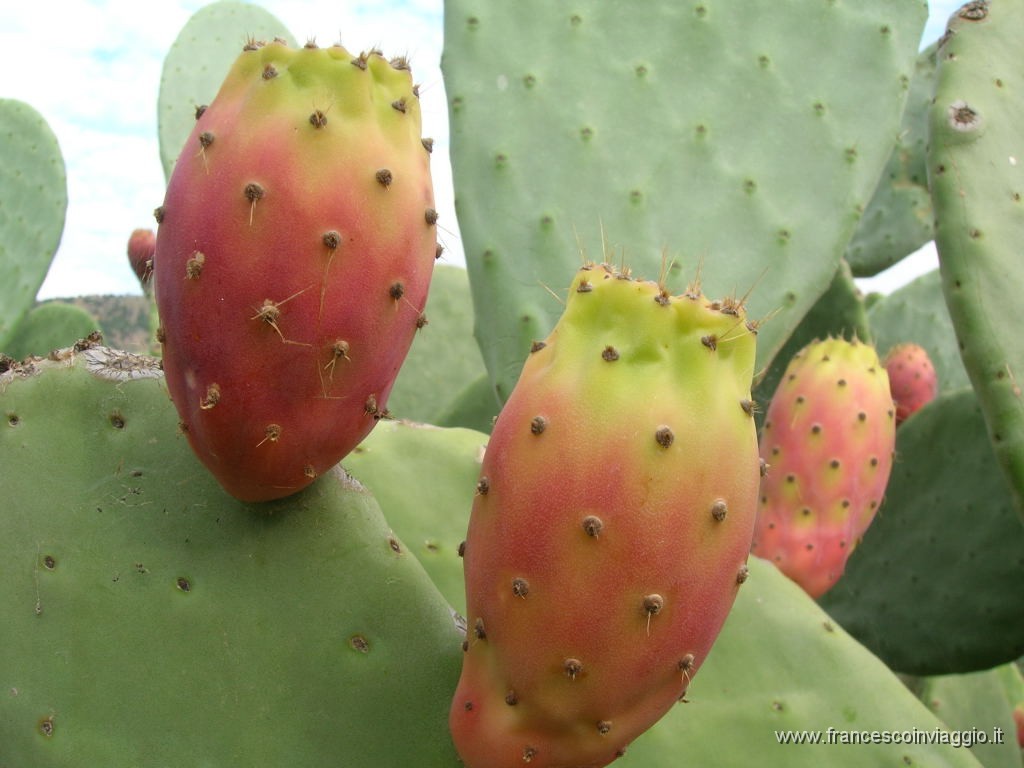 DSCN9471.JPG