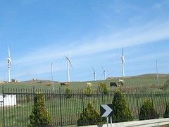 DSCN9622