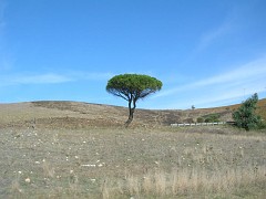 DSCN9627