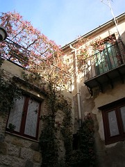 DSCN9659