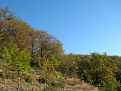 DSCN9676