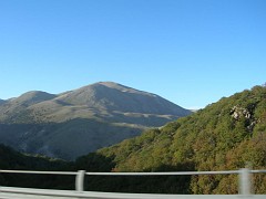 DSCN9677