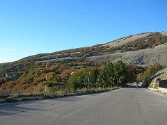 DSCN9687