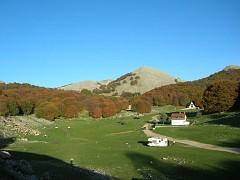 DSCN9701