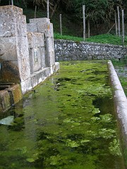 DSCN9710