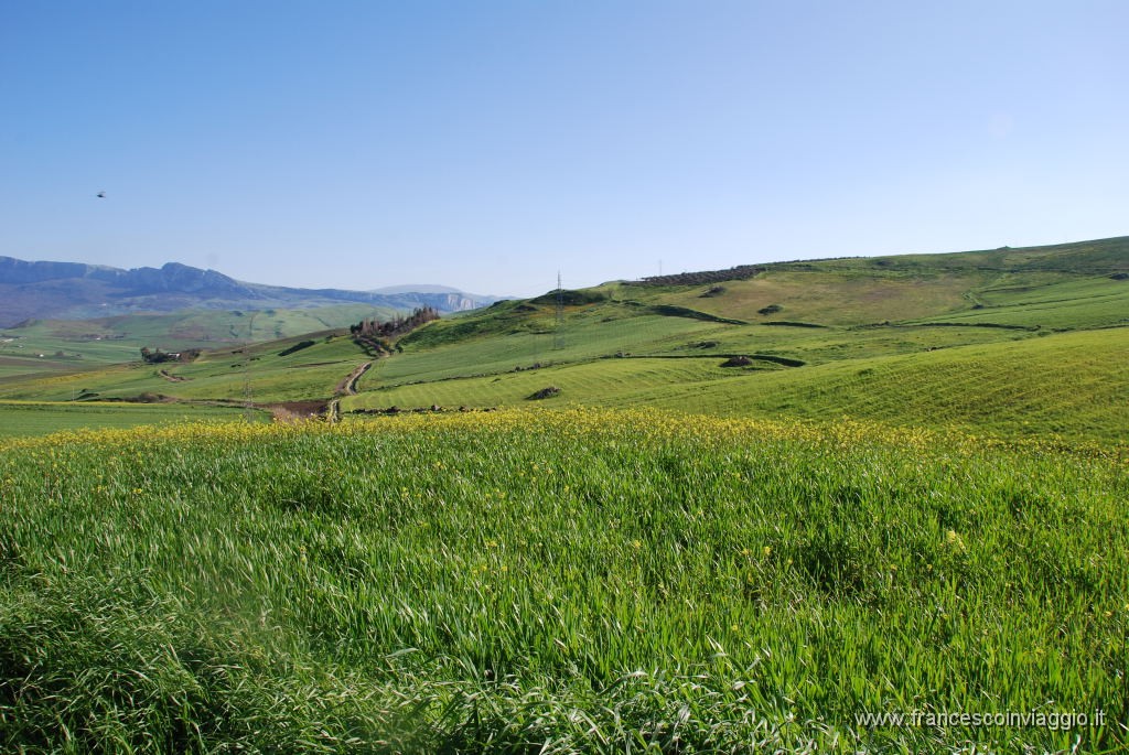 DSC_0957.JPG