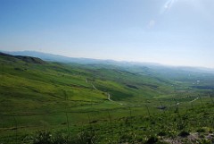 DSC_0956
