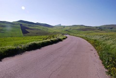 DSC_0963