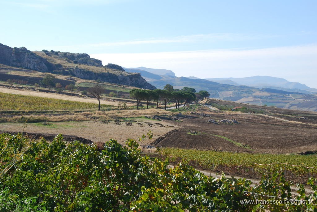 DSC_1017.JPG