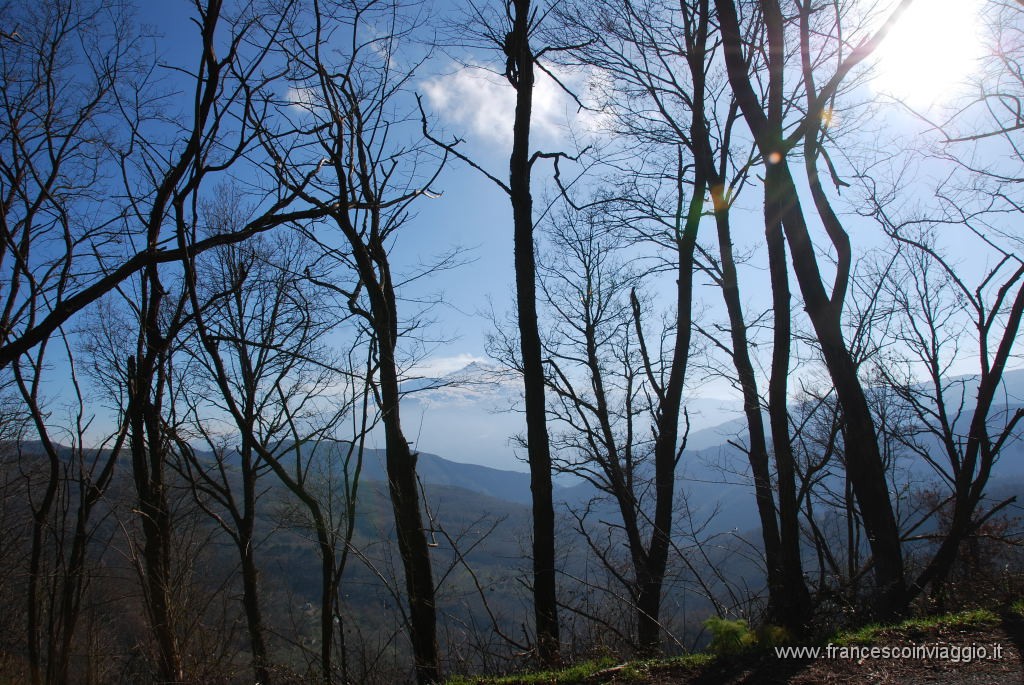 DSC_0228.JPG