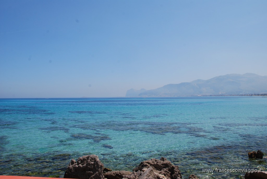 DSC_0091.JPG