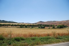 DSC_0101