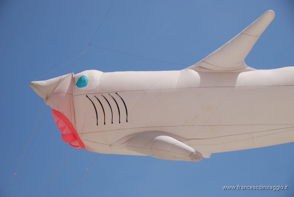 DSC_0147.JPG
