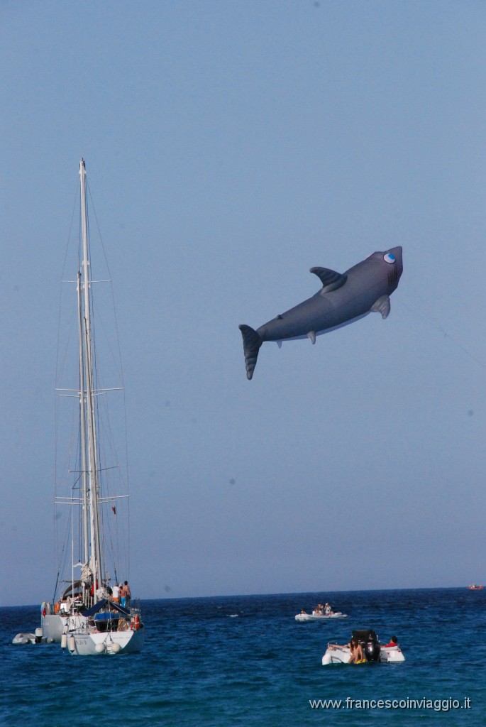 DSC_0272.JPG
