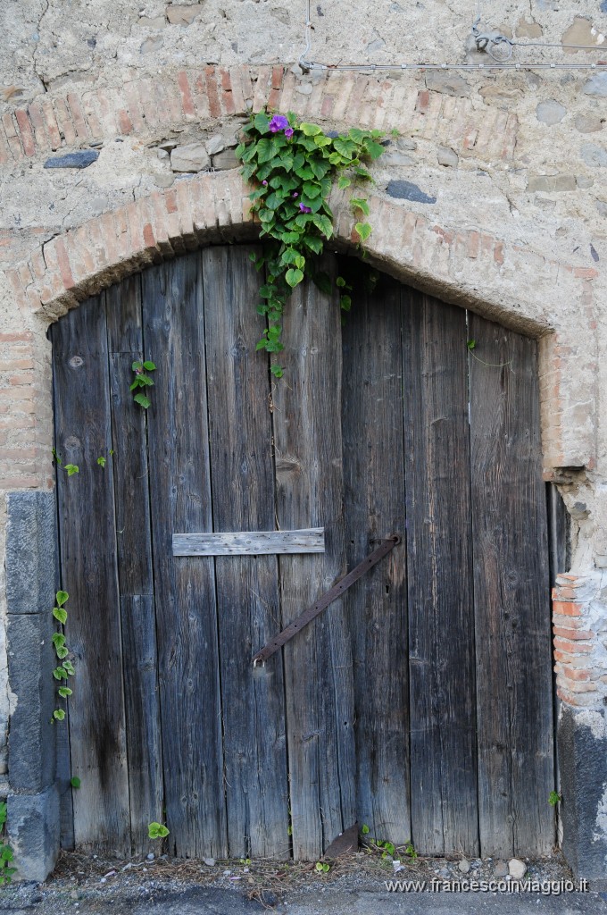 DSC_7126.JPG