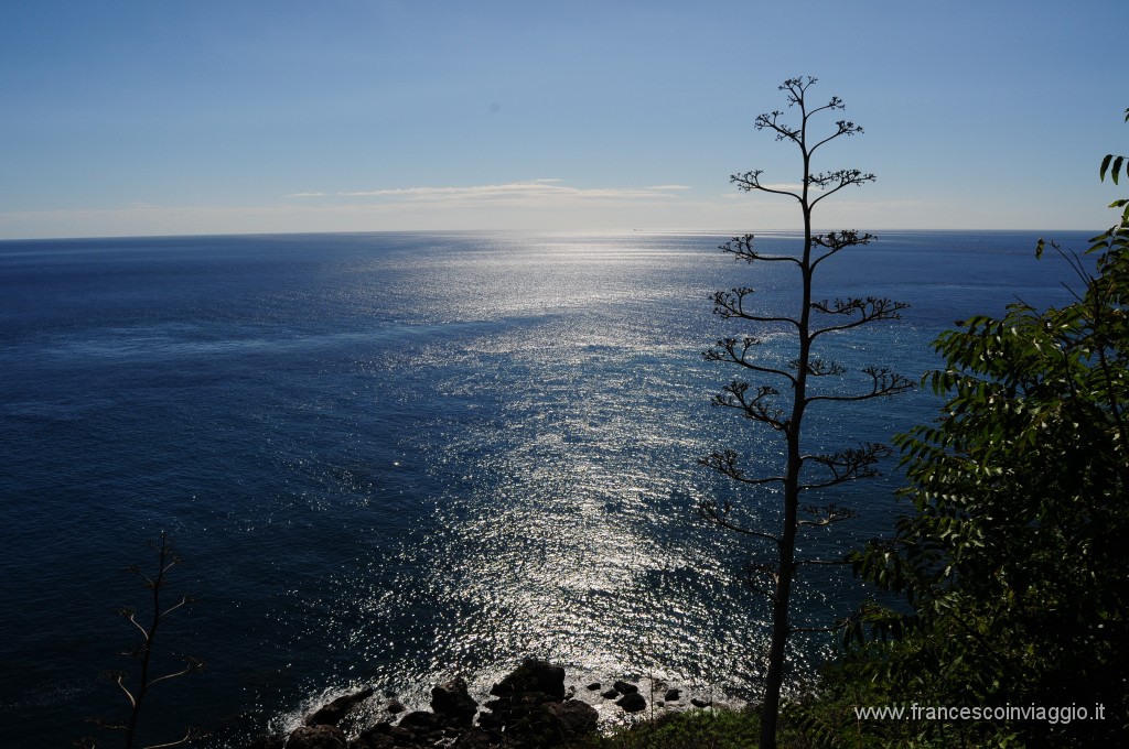 DSC_7200.JPG
