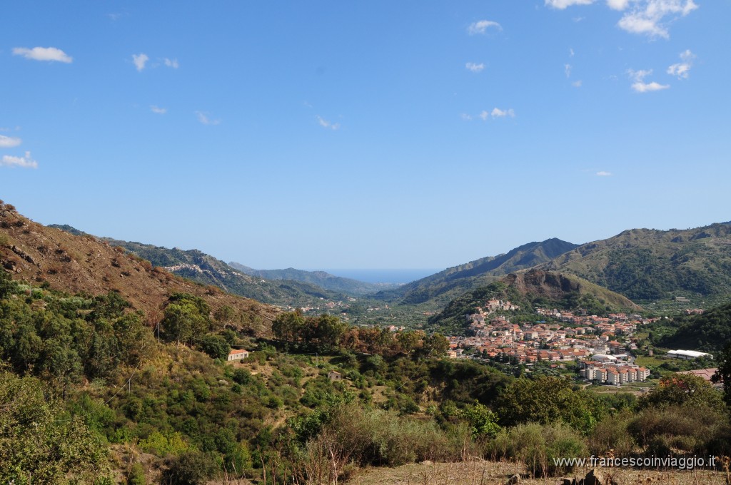 DSC_7304.JPG