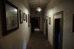 DSC_6826