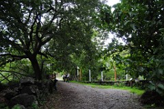 DSC_6896