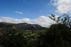 DSC_7004