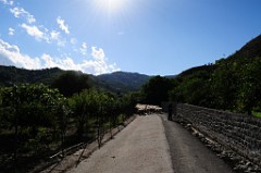 DSC_7056