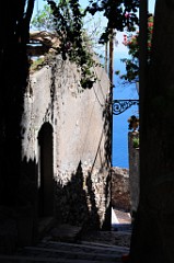 DSC_7290