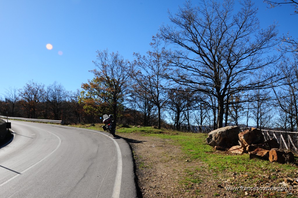 DSC_0918.JPG