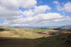 DSC_1055