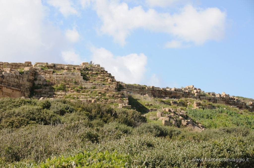 DSC_4334.JPG