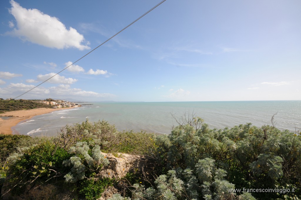 DSC_4347.JPG