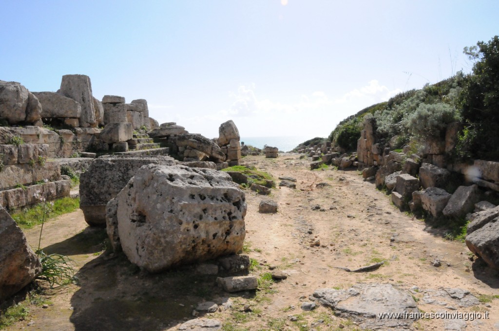 DSC_4394.JPG