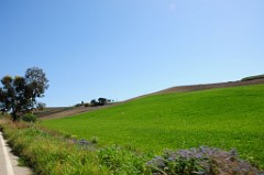 DSC_8190