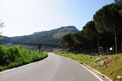 DSC_8376