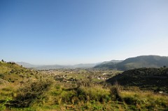 DSC_8402