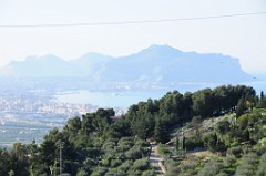 DSC_8409
