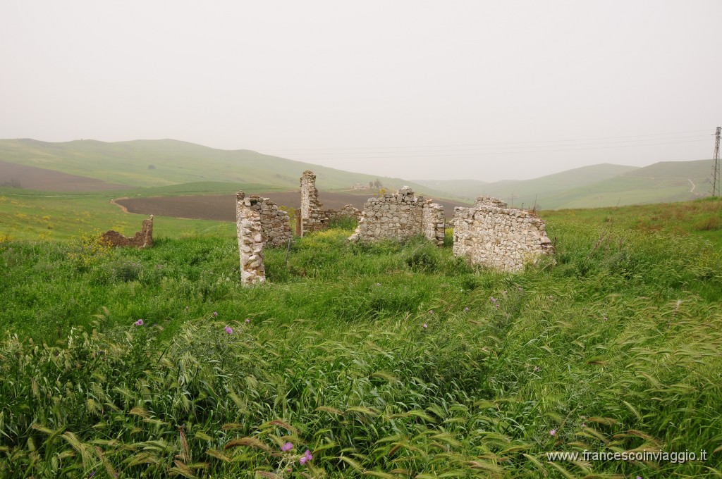 DSC_0883.JPG