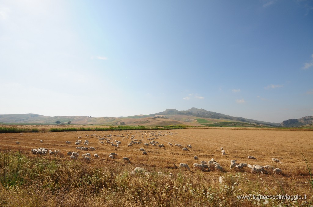 DSC_3603.JPG