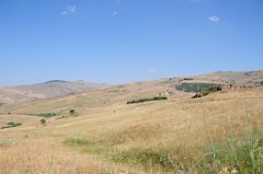 DSC_4091
