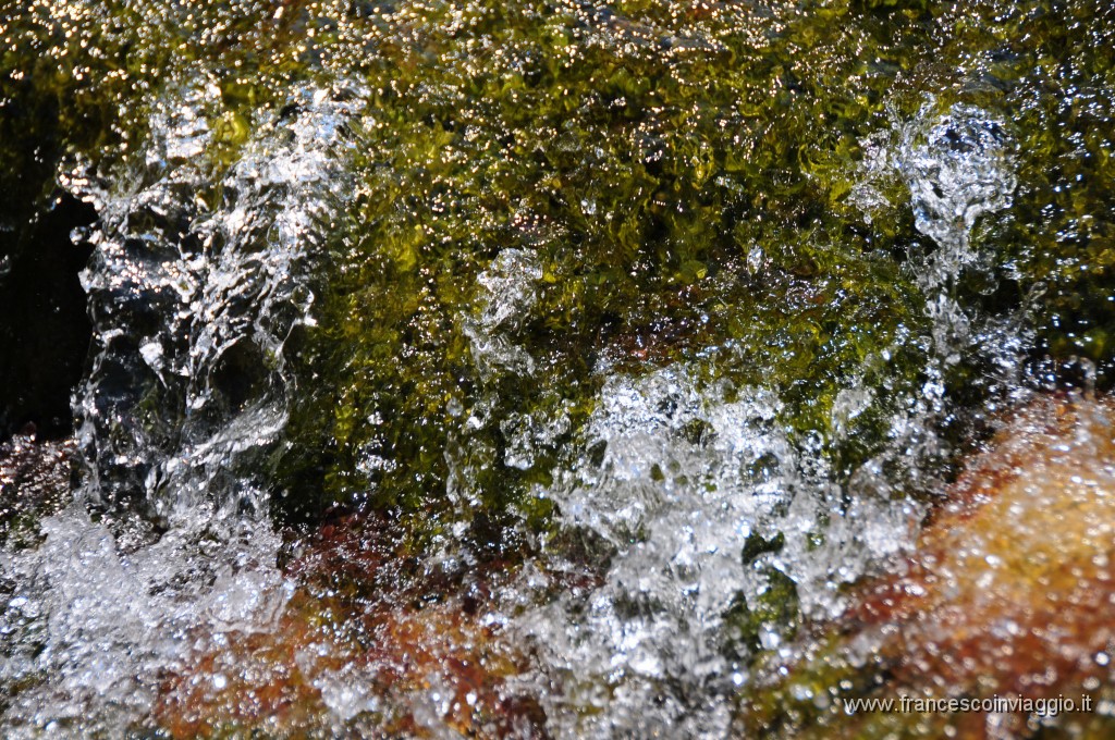 DSC_4542.JPG