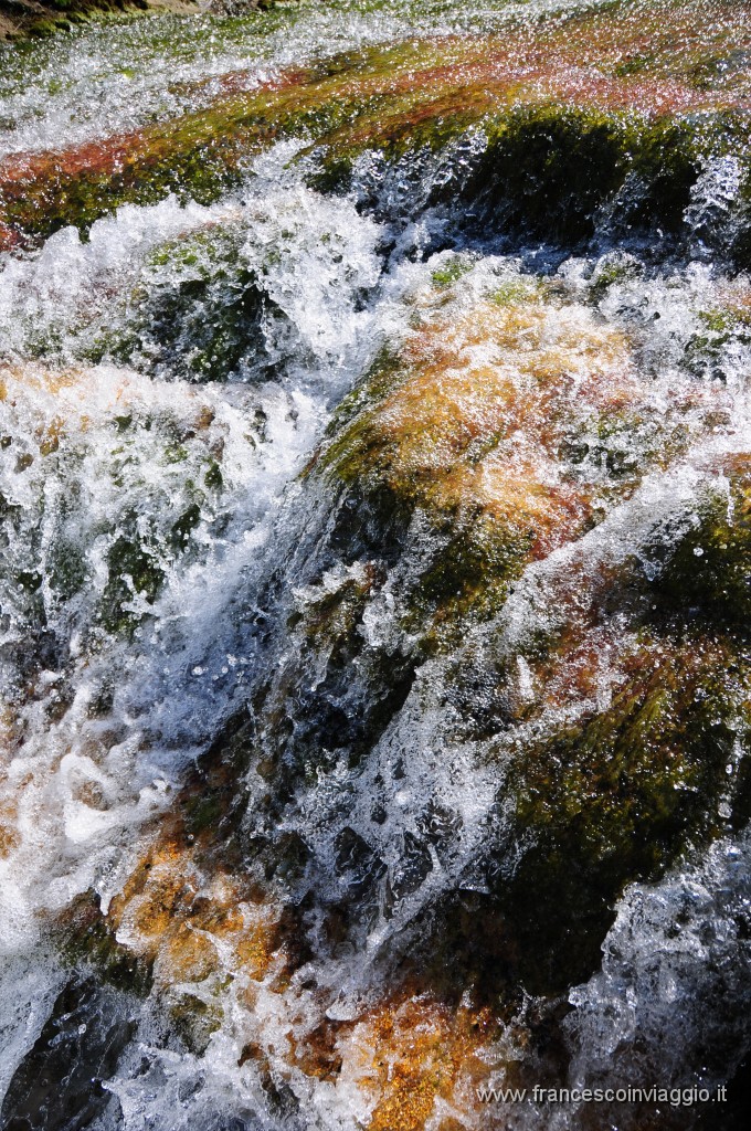 DSC_4624.JPG