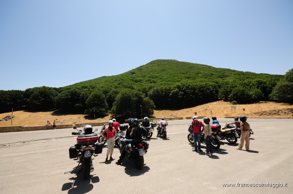 DSC_5973.JPG